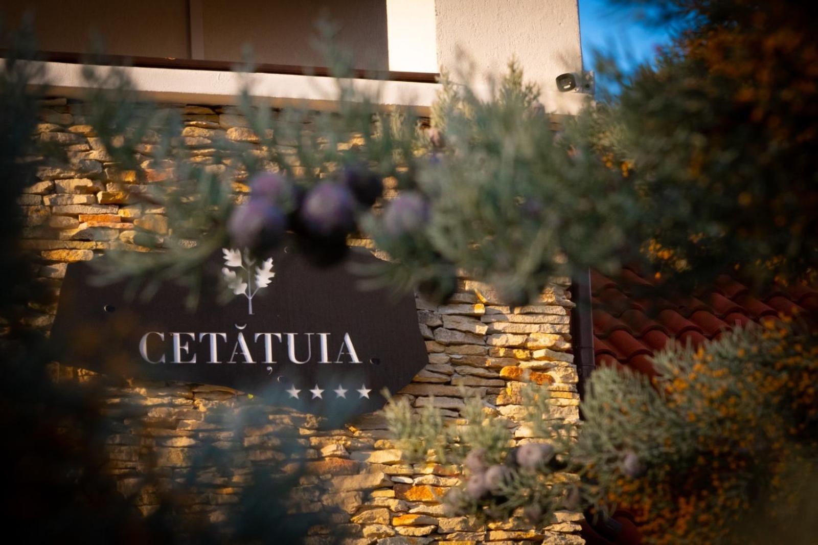 Готель Cetatuia Мегура Екстер'єр фото